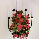 Laendliche Idylle In Hochfranken Daire Regnitzlosau